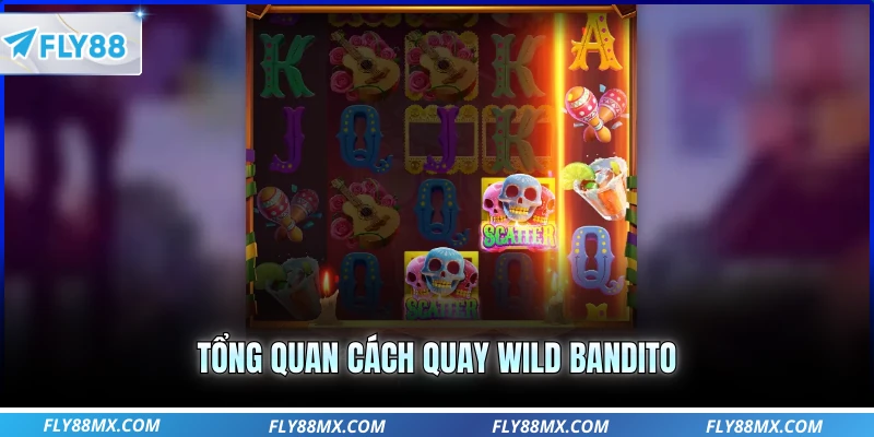 Tổng quan cách quay wild bandito