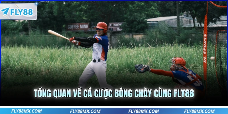 Tổng quan về cá cược bóng chày cùng Fly88
